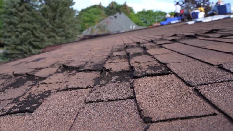 Best Roof Coating Services  in Grafton, OH