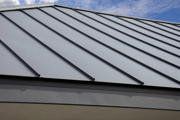 Best Roof Moss and Algae Removal  in Grafton, OH